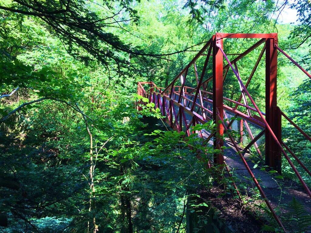 red bridge over a heavily wooded gorge